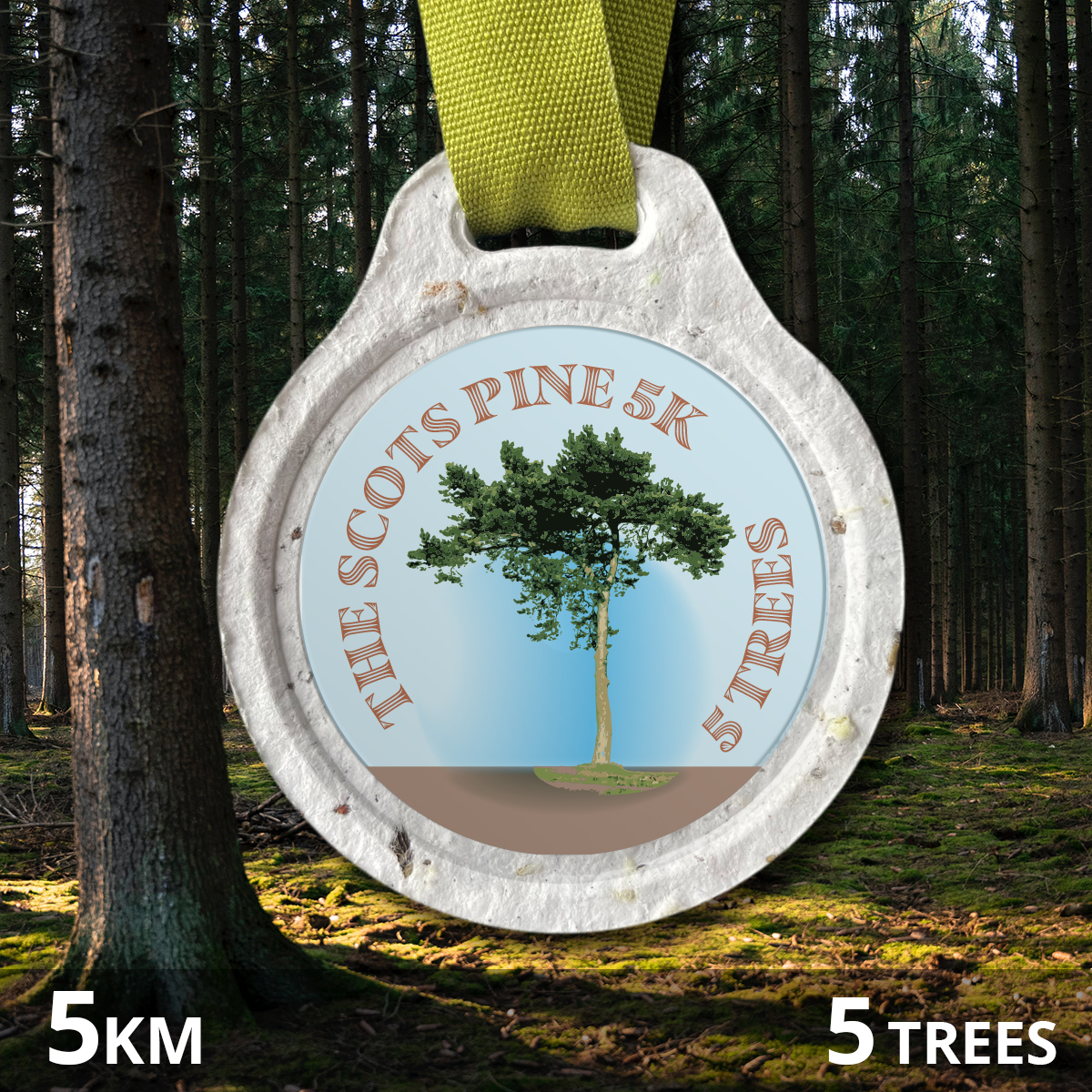 TREE CHALLENGE: THE SCOTS PINE 5k