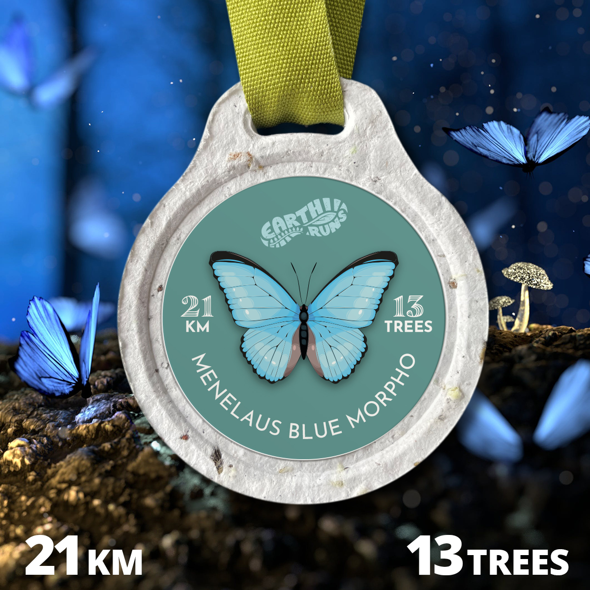 BUTTERFLY: MENELAUS BLUE HALF