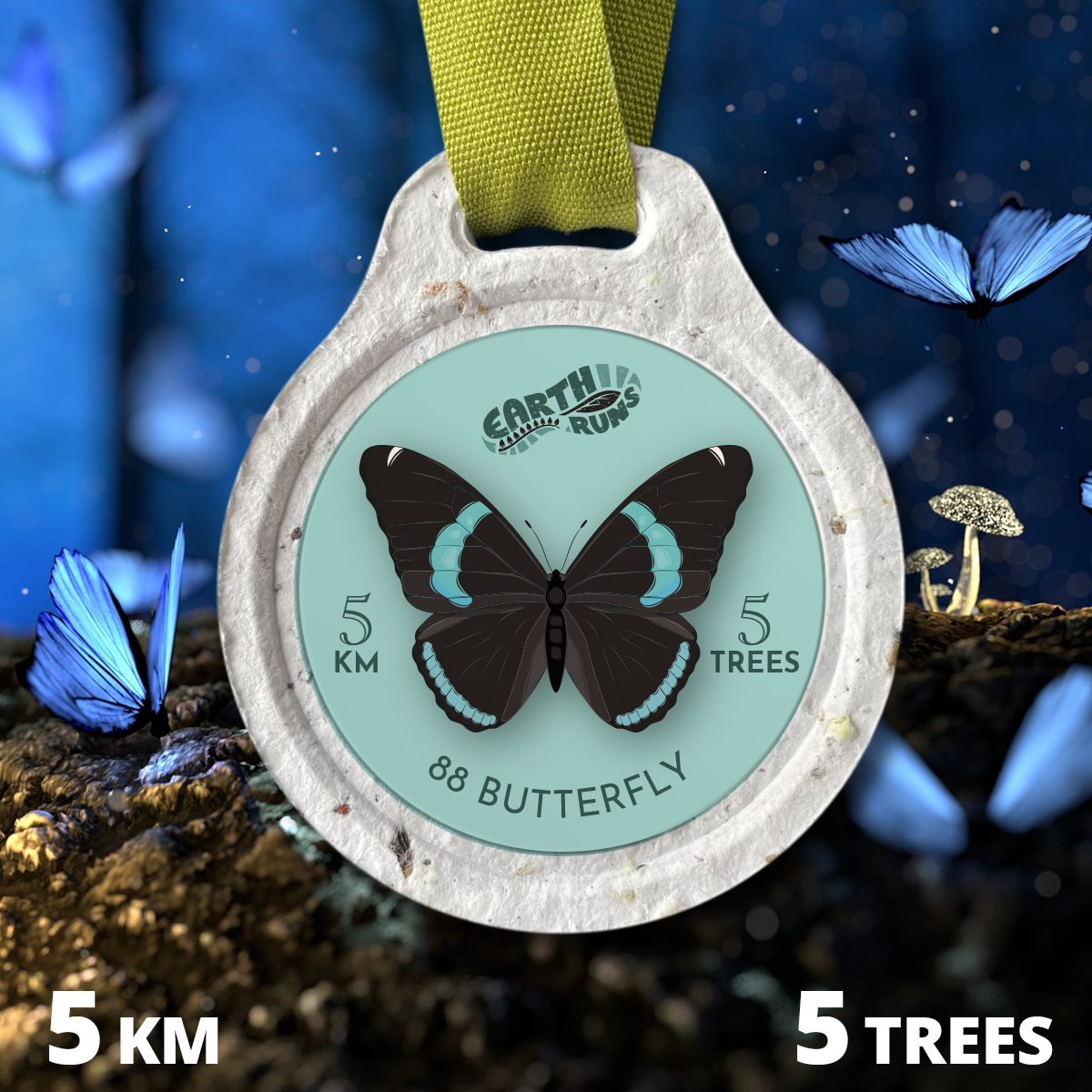 BUTTERFLY: The 88 BUTTERFLY 5k