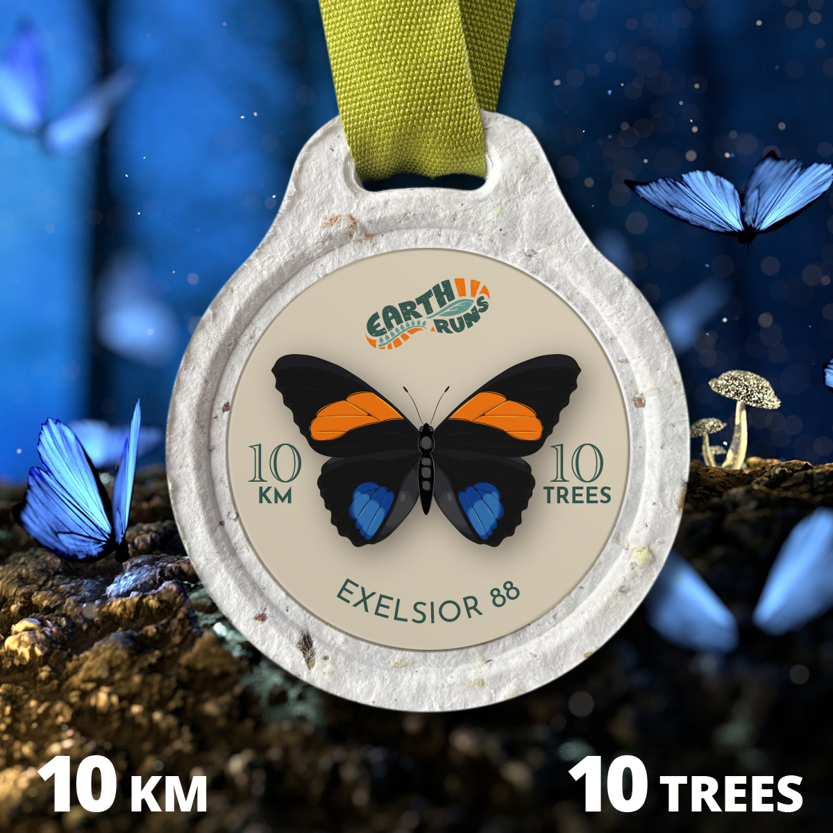 BUTTERFLY: EXELSIOR 88 – 10k